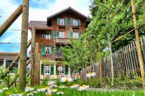 Отель Edelweiss Lodge, Вильдерсвиль
